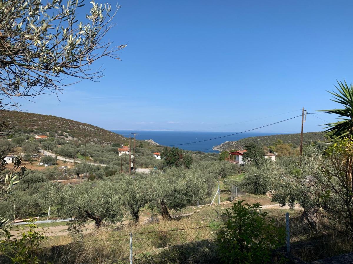 Olive Hill Private House Villa Poros Town Екстериор снимка