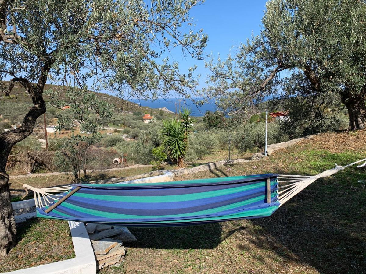 Olive Hill Private House Villa Poros Town Екстериор снимка