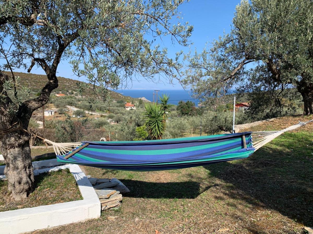 Olive Hill Private House Villa Poros Town Екстериор снимка