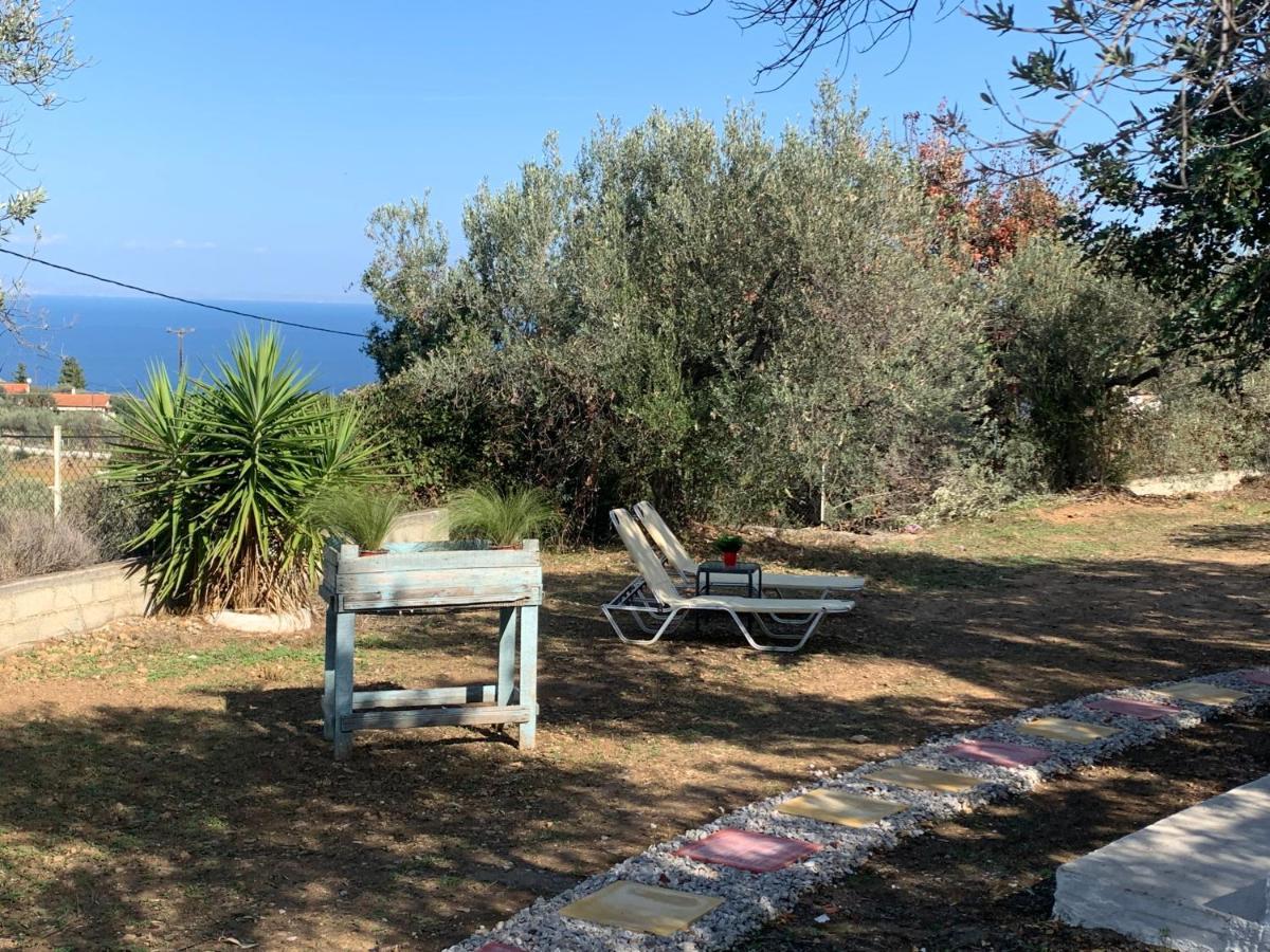 Olive Hill Private House Villa Poros Town Екстериор снимка