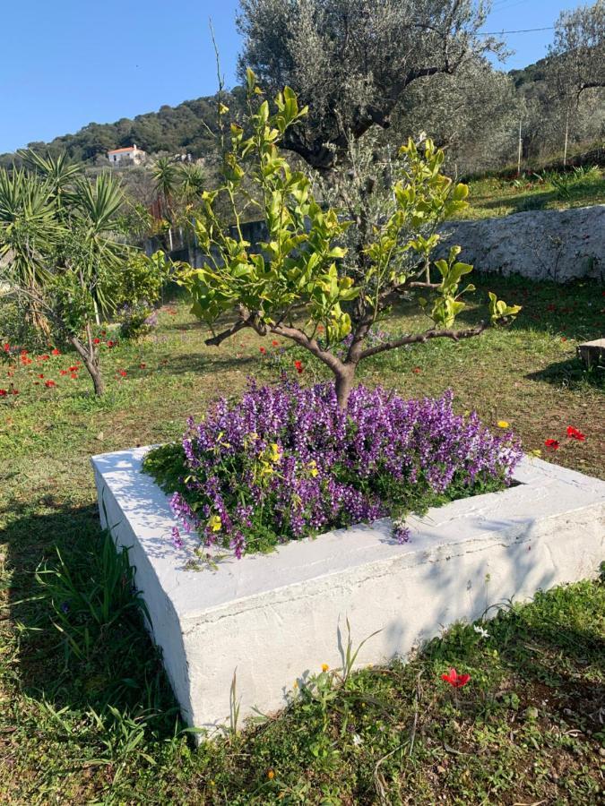 Olive Hill Private House Villa Poros Town Екстериор снимка