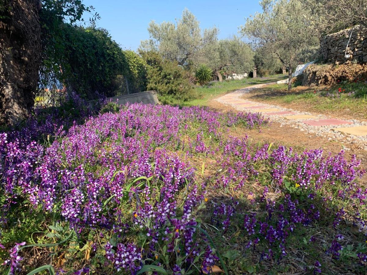 Olive Hill Private House Villa Poros Town Екстериор снимка