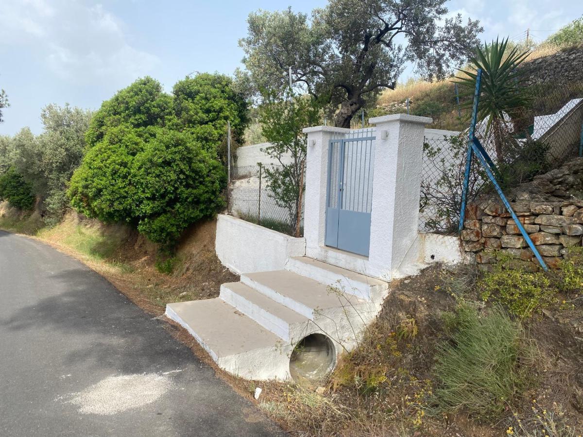 Olive Hill Private House Villa Poros Town Екстериор снимка